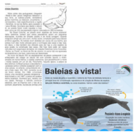 Imagem: Texto de página inteira com um pequeno desenho de baleia. Ao lado Esquema sobre a baleia com a imagem central e informações importante destacadas e resumidas